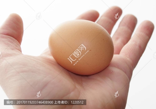 雞蛋