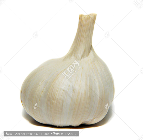 白色背景上的大蒜