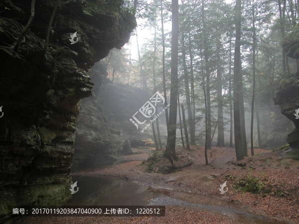 霧在霍金山上遠(yuǎn)足