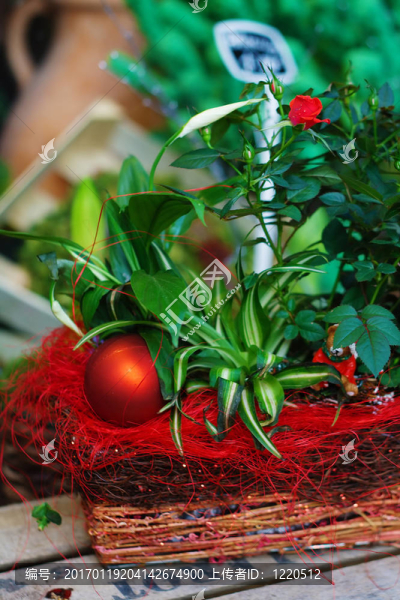 圣誕飾品及植物