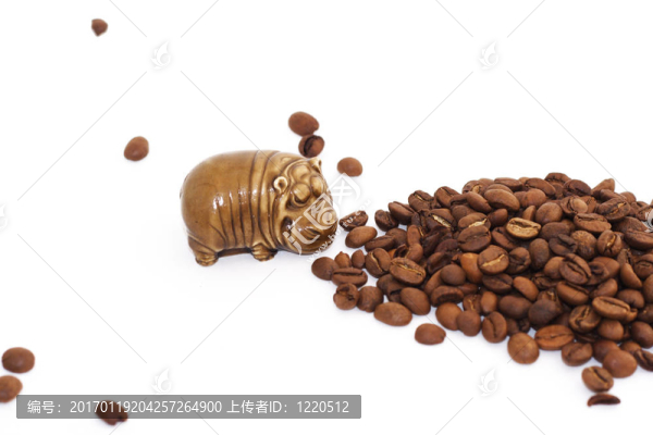 咖啡豆和河馬
