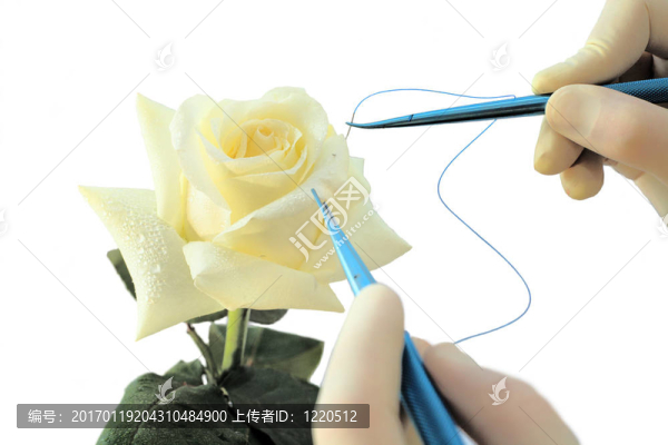 與white,Rose的操作