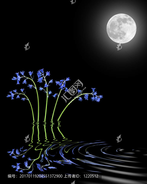 風(fēng)鈴草和Moon,Beauty
