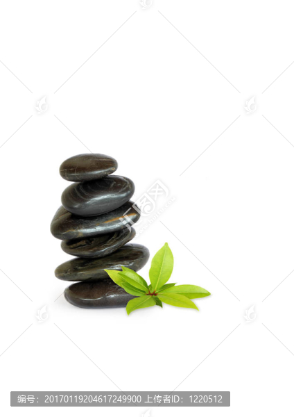 溫泉石與月桂葉草