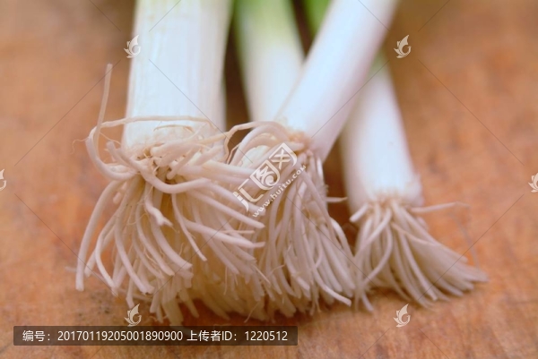 大蒜洋蔥-匯圖網(wǎng) www.fosd68.com 大蒜洋蔥