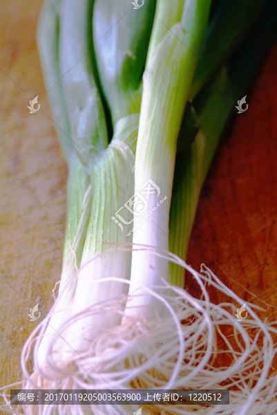 大蒜洋蔥