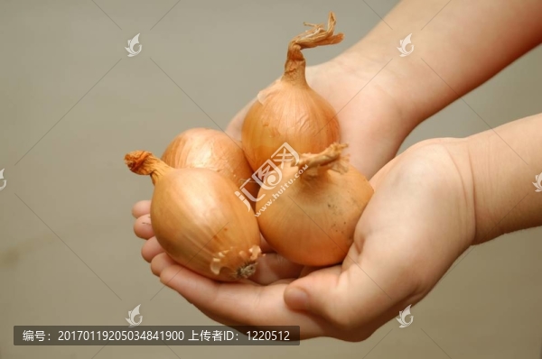 如何切洋蔥