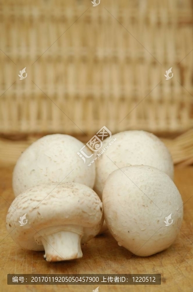 如何切蘑菇