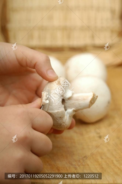 如何切蘑菇