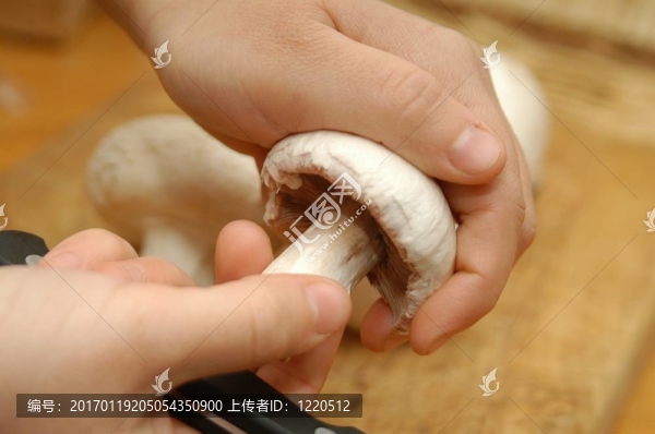 如何切蘑菇