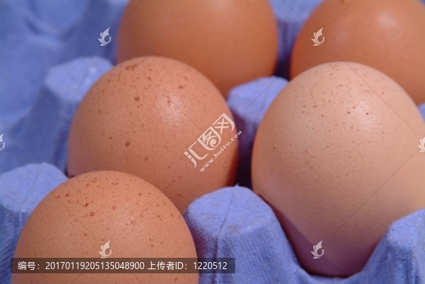 盒子里的雞蛋
