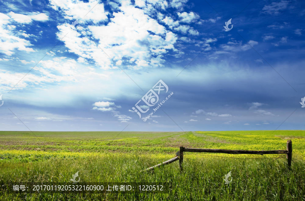 草原景觀