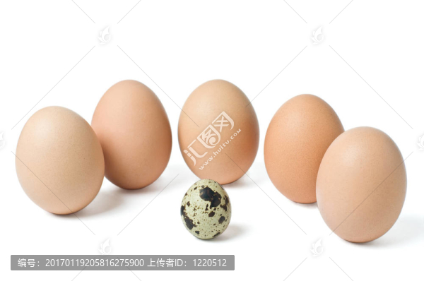該蛋