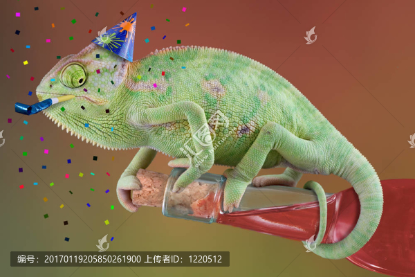 變色龍人的時間