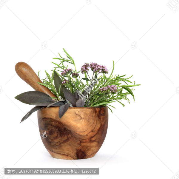 迷迭香鼠尾草和牛至藥材；