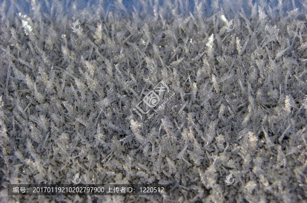 冷凍-匯圖網(wǎng) www.fosd68.com 冷凍