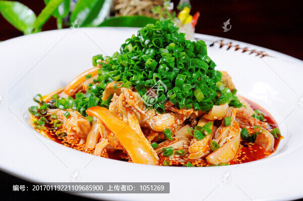 天府仔兔