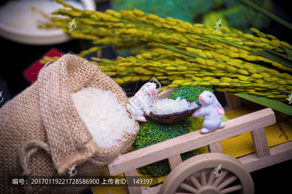 兔子偷米
