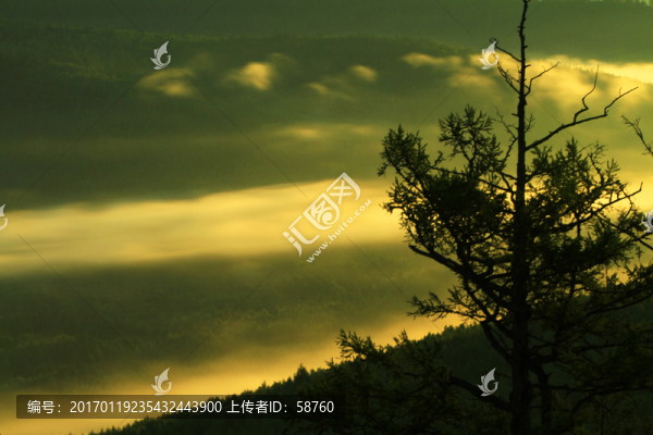 山林云霧