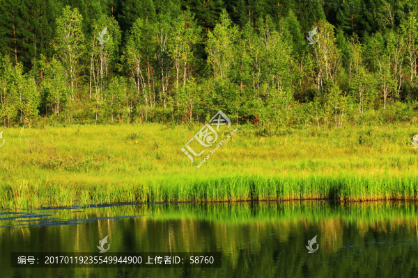 濕地風(fēng)景