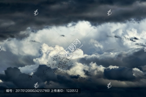 暴風(fēng)雨的烏云