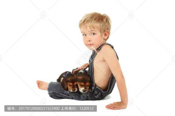 小男孩坐在他的膝上犬幼犬