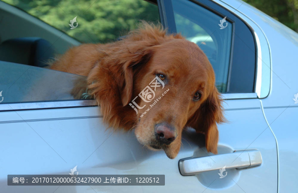 金retreiver汽車