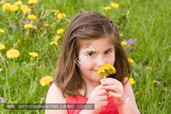 女孩Smelling,Flower