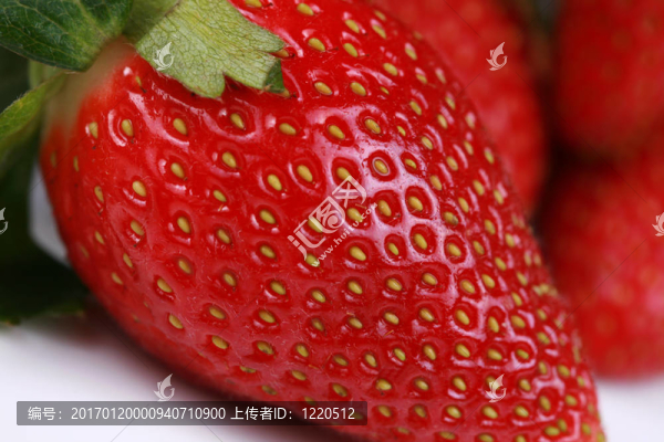 近紅草莓