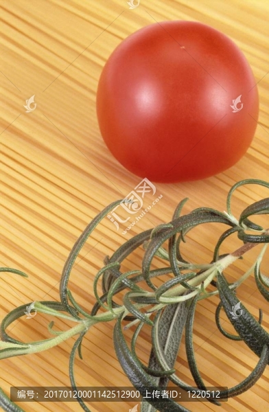意大利面條；西紅柿和迷迭香