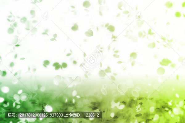 懷舊的甜蜜回憶飄落的樹葉