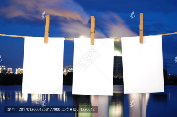 紙