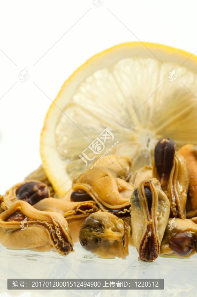 貽貝