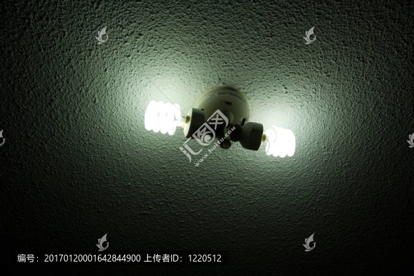 緊湊型熒光燈泡