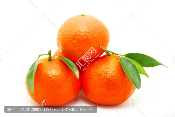 Tangerine夜店