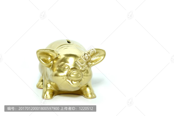 金色的小豬存錢罐