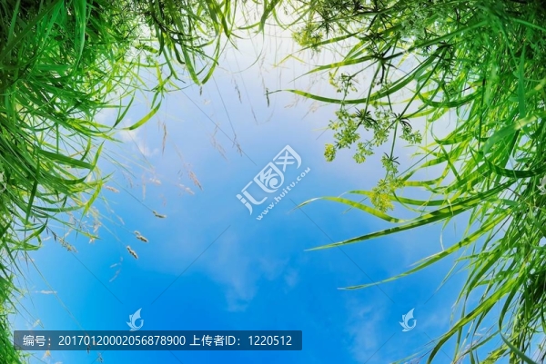 已落在草地上