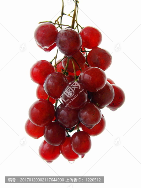 葡萄