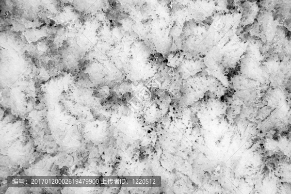 春天-匯圖網(wǎng) www.fosd68.com 春天