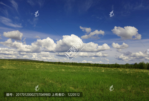 綠色的田野-匯圖網(wǎng) www.fosd68.com 綠色的田野