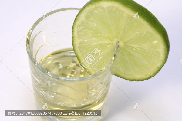龍舌蘭酒