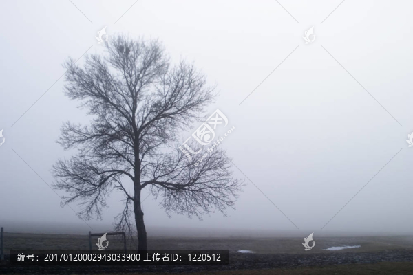 獨(dú)自一人