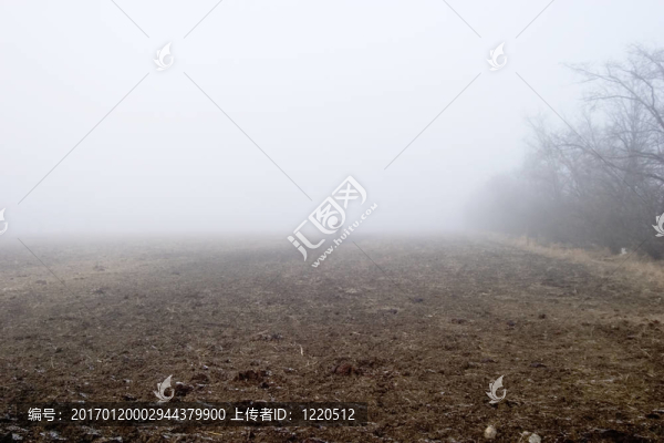 霧樹行