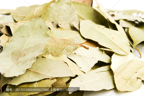 月桂樹(shù)葉