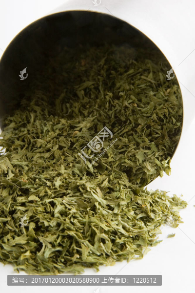 散裝香菜