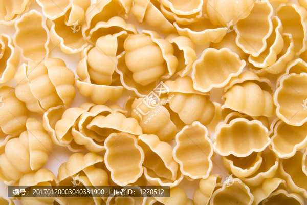 海貝殼面食背景