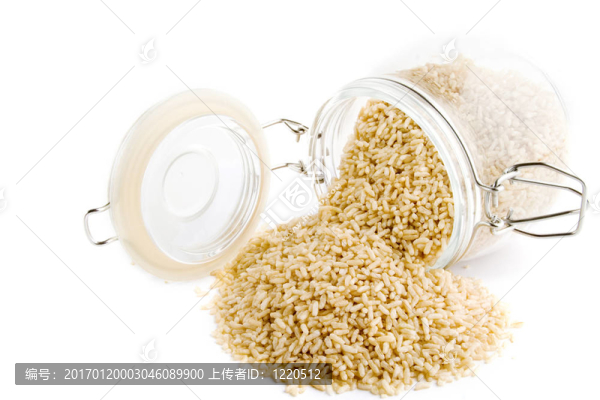 全粒方便米飯