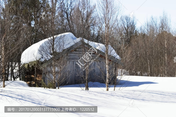 冬天的森林小屋