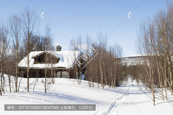 冬天的森林小屋