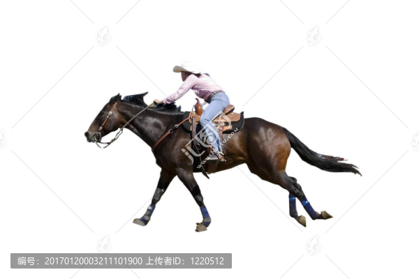 賽車桶